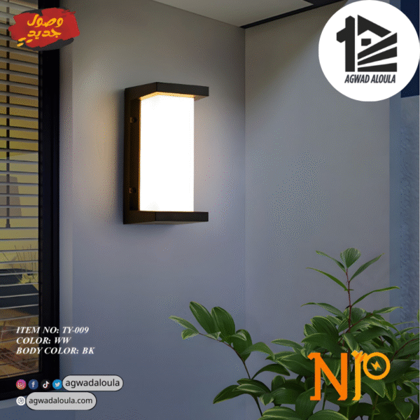 مصباح جداري خارجي TY-009